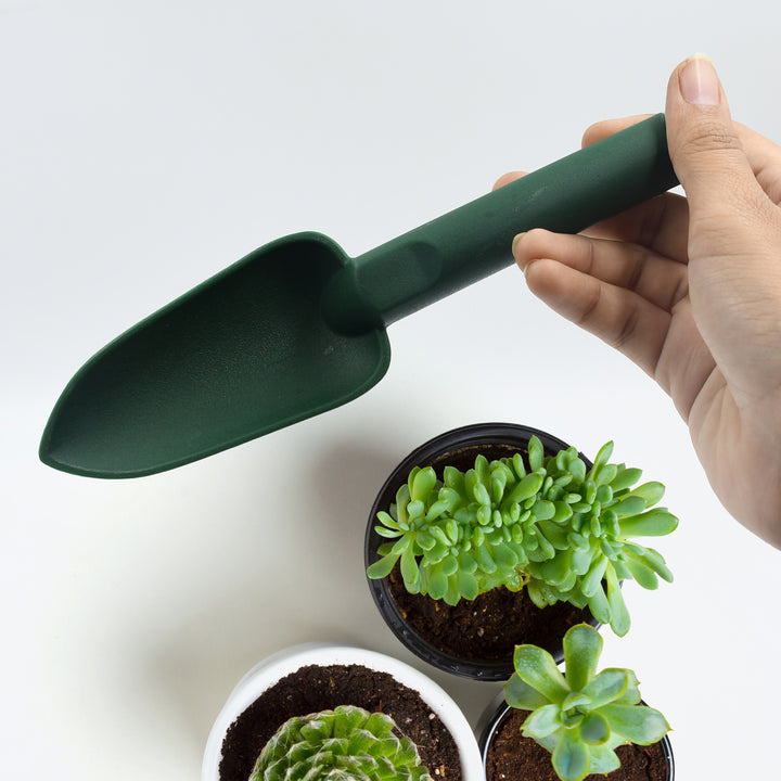Superior eMart mini garden hand trowel held above potted succulents for planting and gardening tasks