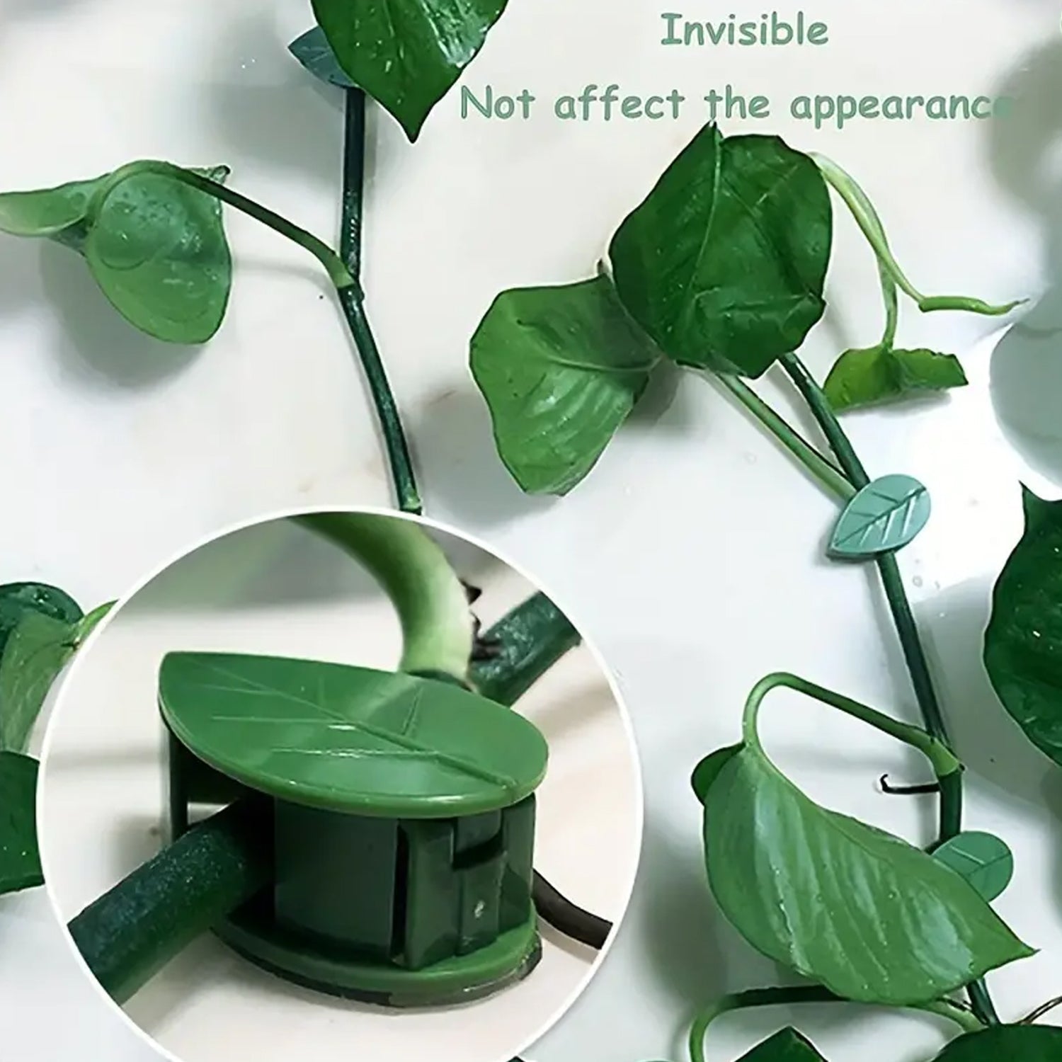 Plant Climbing Wall Fixture Clip Self-Adhesive Hook Vines Traction Invisible Sta - 7348_wall_plant_climbing_clip_10pc