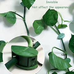 Plant Climbing Wall Fixture Clip Self-Adhesive Hook Vines Traction Invisible Sta - 7348_wall_plant_climbing_clip_10pc