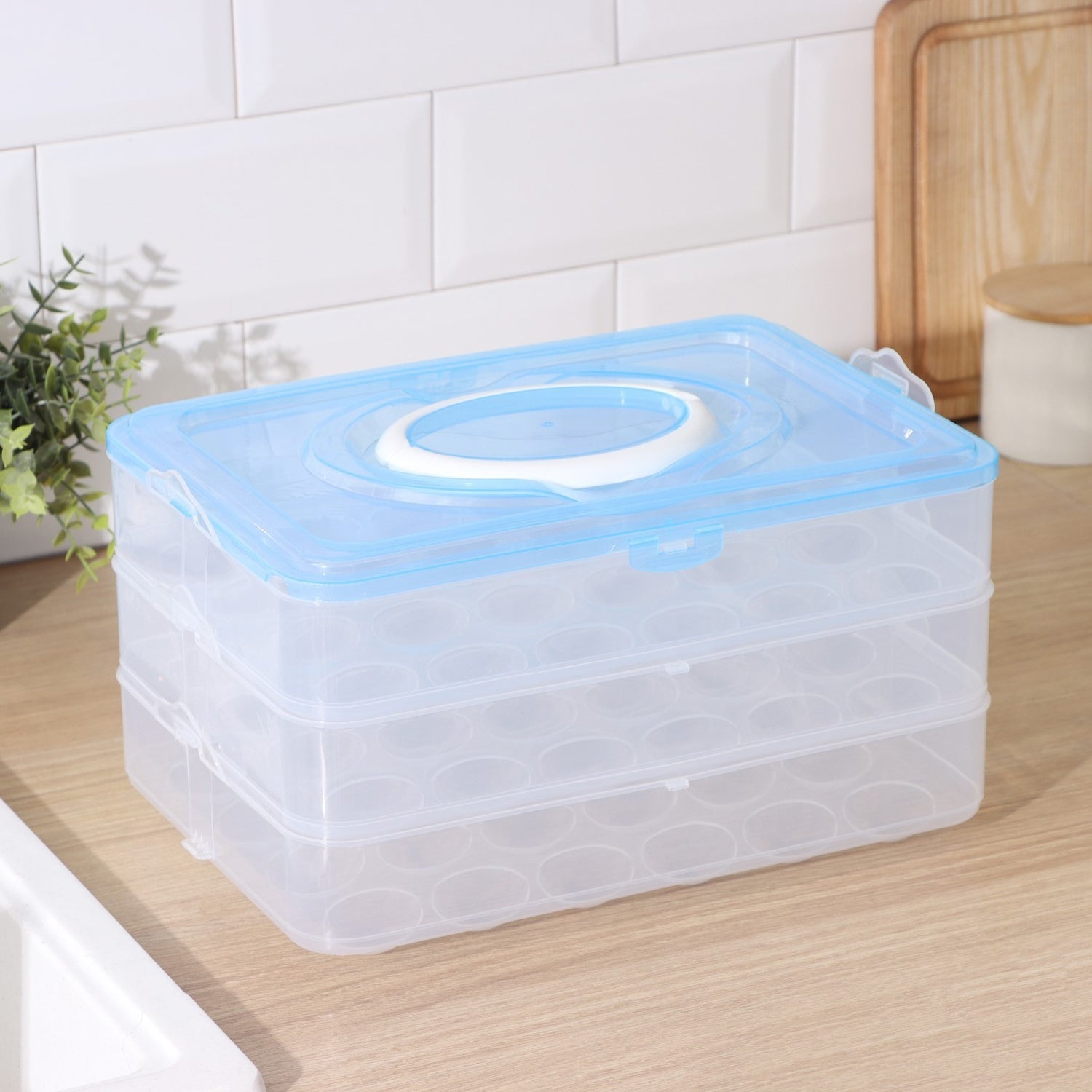 3-Layer Plastic Refrigerator Egg Storage Box (36 Grid) - 2643_36grid_egg_box