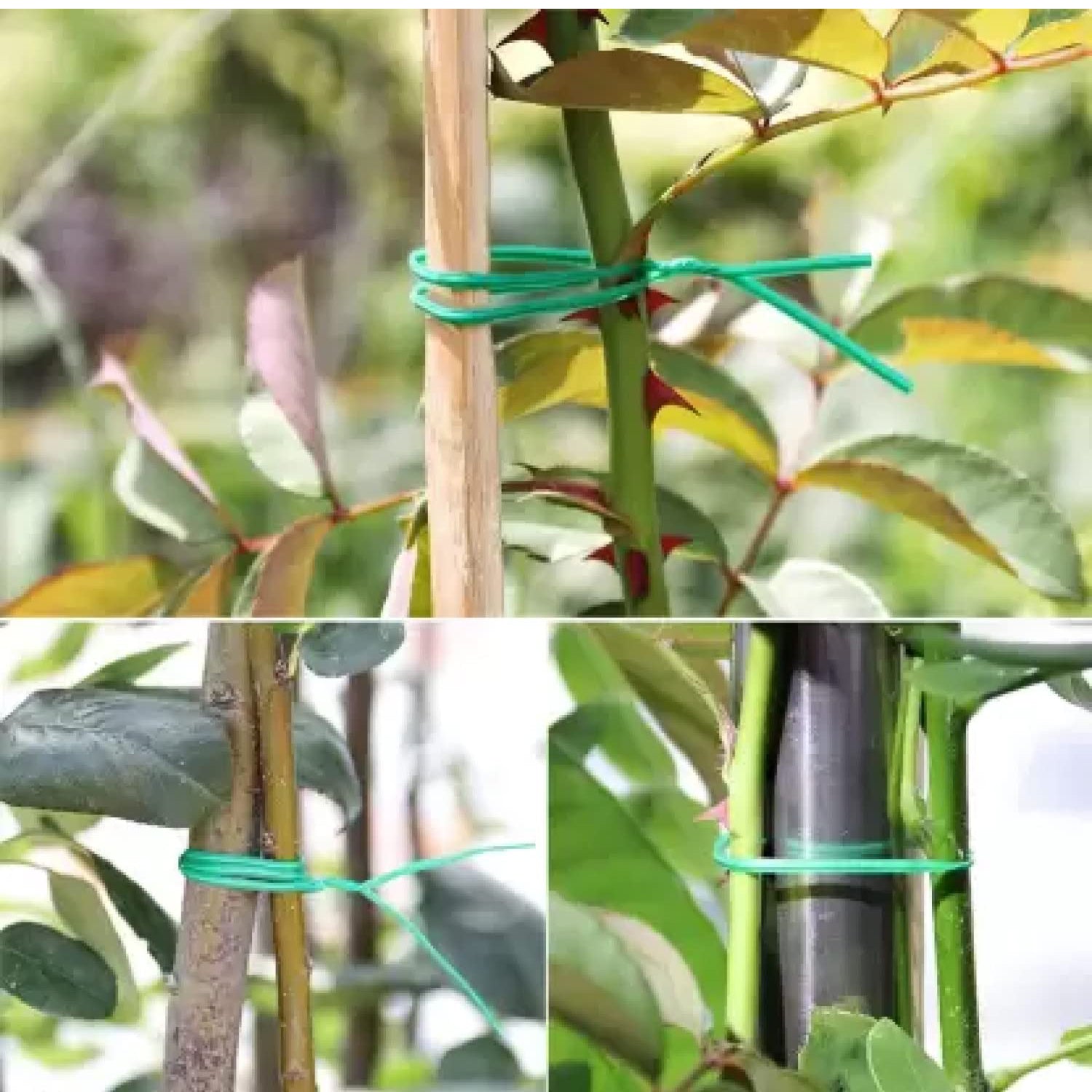 Garden Wire, Sturdy Plant Ties for Support, Garden Ties with Cutter for Tomatoes - 8747_garden_wire_50mtr