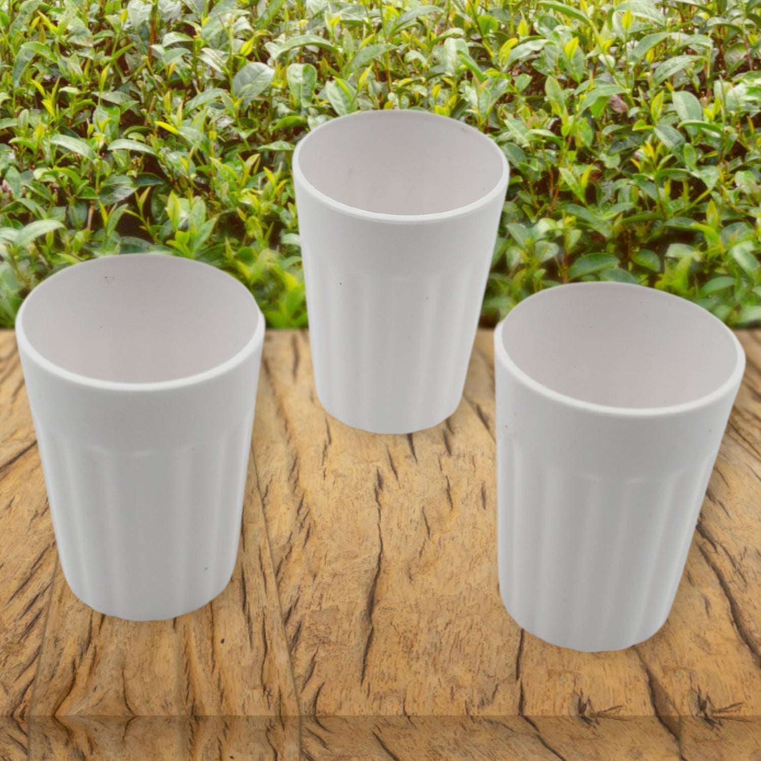 Small Plastic Coffee / Tea Cups Reusable Plastic Cup Mug Lightweight Microwavabl - 5719_pla_small_tea_cup_3pc_d45