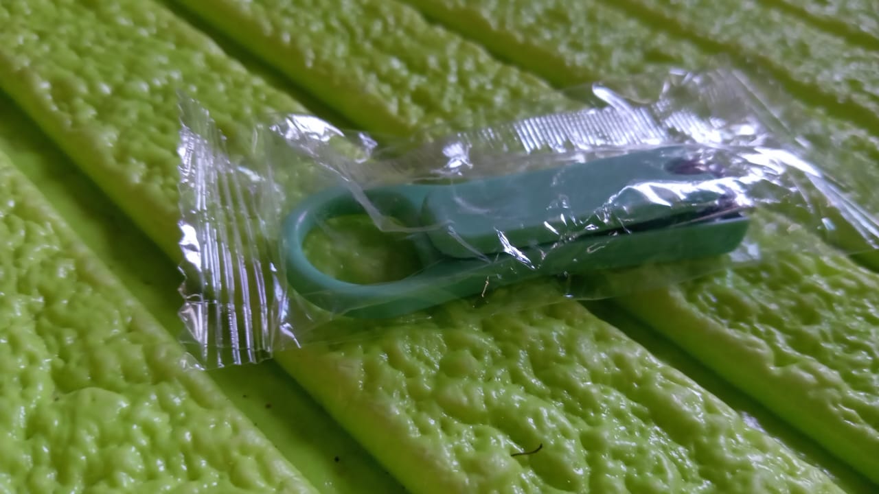 Nail Clippers Adult Nail Clippers Plastic/Hardware Green Nail Clippers - 12729_insulated_nail_cutter