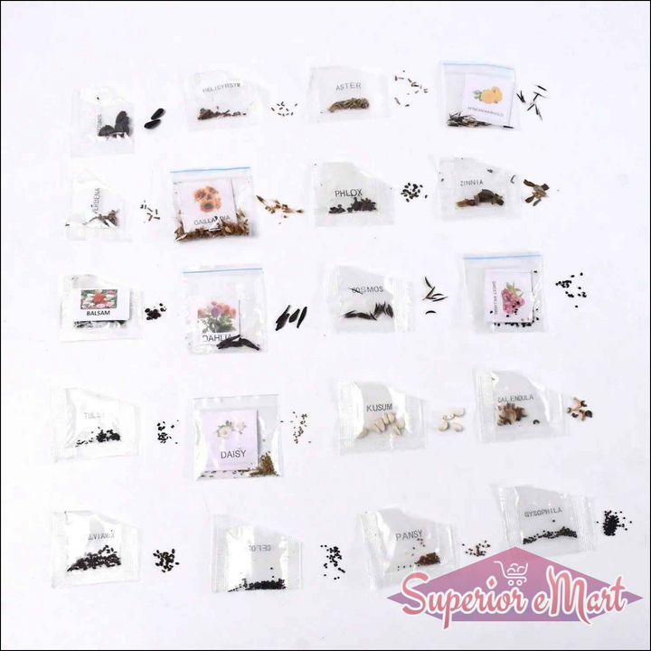 20 Types Flower Seeds Combo Set - Superior eMart