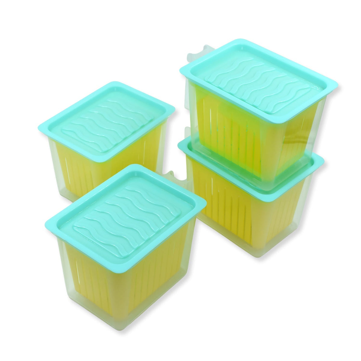 Set of 4 plastic fridge storage containers with handle for kitchen organization