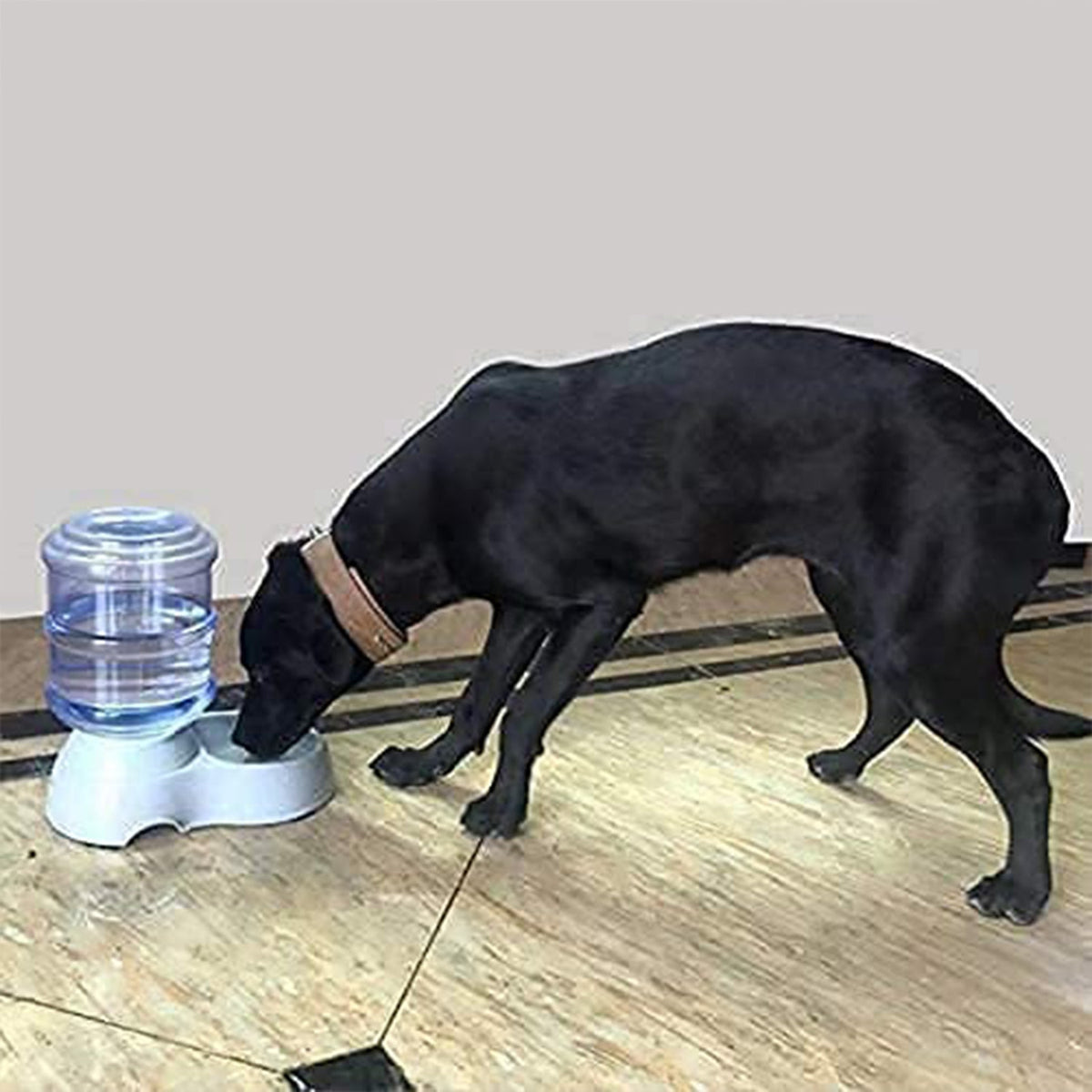 Automatic Pet Water Dispenser Self-Dispensing Gravity Pet Feeder Water Cat Dog F - 0626_pet_water_dispenser_set