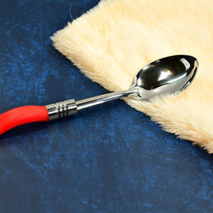 Stainless steel spoon with comfortable plastic handle