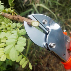 Sharp garden scissors for precise cutting