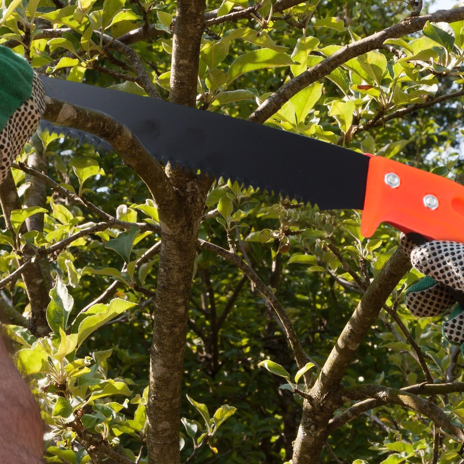 Hand Pruning Saw for Tree Branch Cutter (1 Pc) - 8686_hand_pruning_saw_1pc