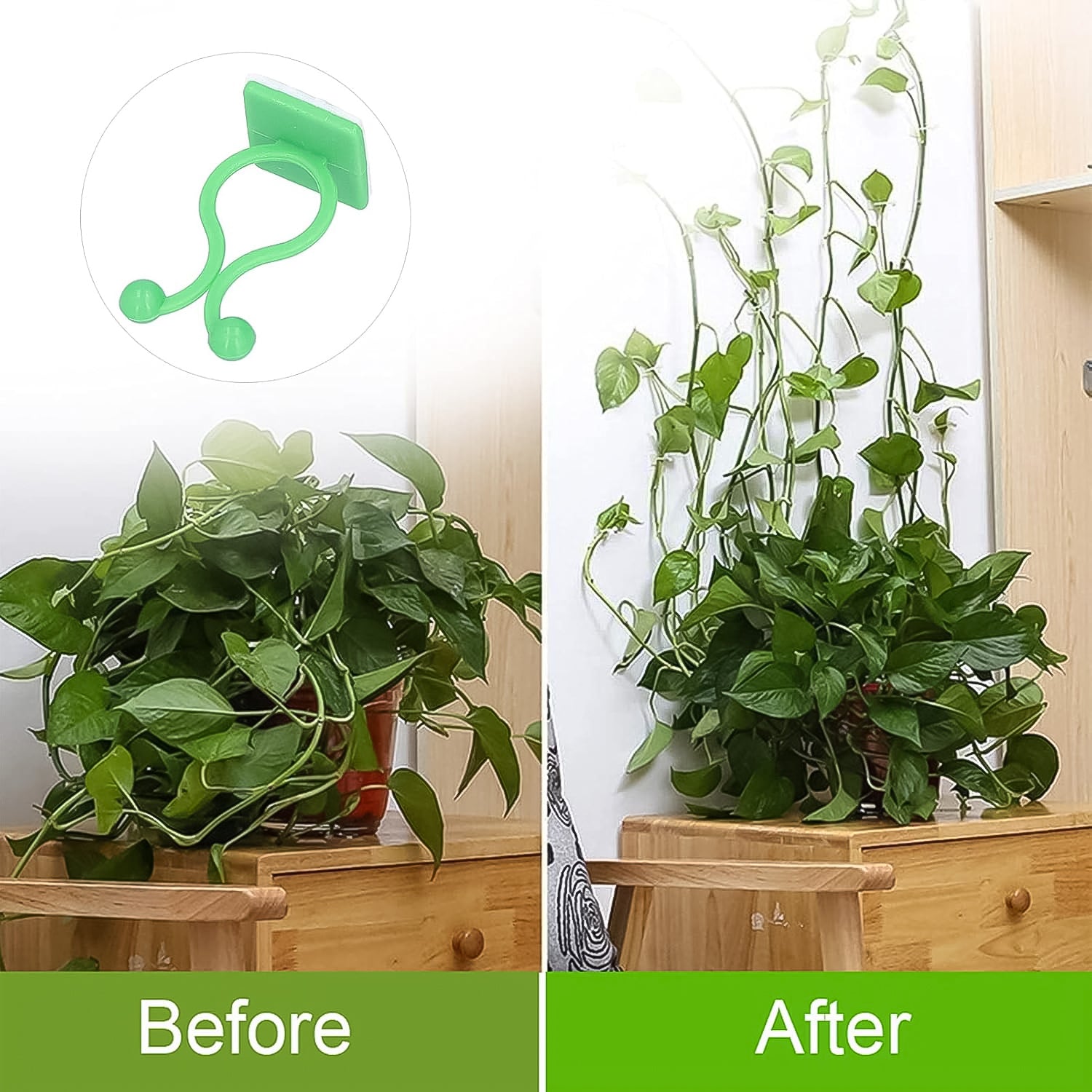 Plant Climbing Wall Clips - 100 Pcs Set