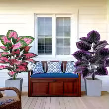 Set of 2 Artificial Caladium Plants – Colorful Home Decor