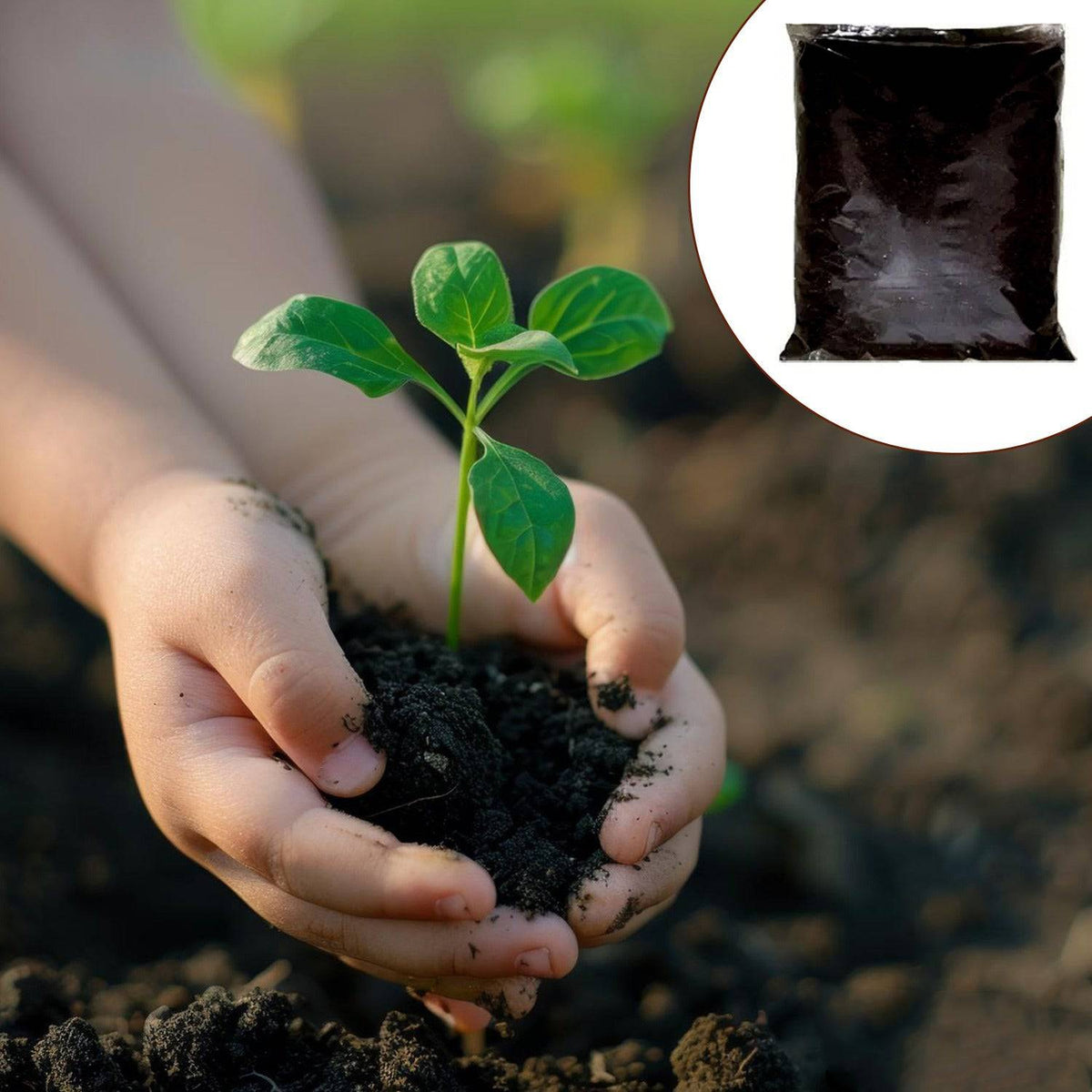 Organic Vermicompost Black Soil For Plants Health Manure (1 Kg Approx) - Superior eMart