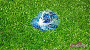 Aquarium Glass Marbles - Superior eMart