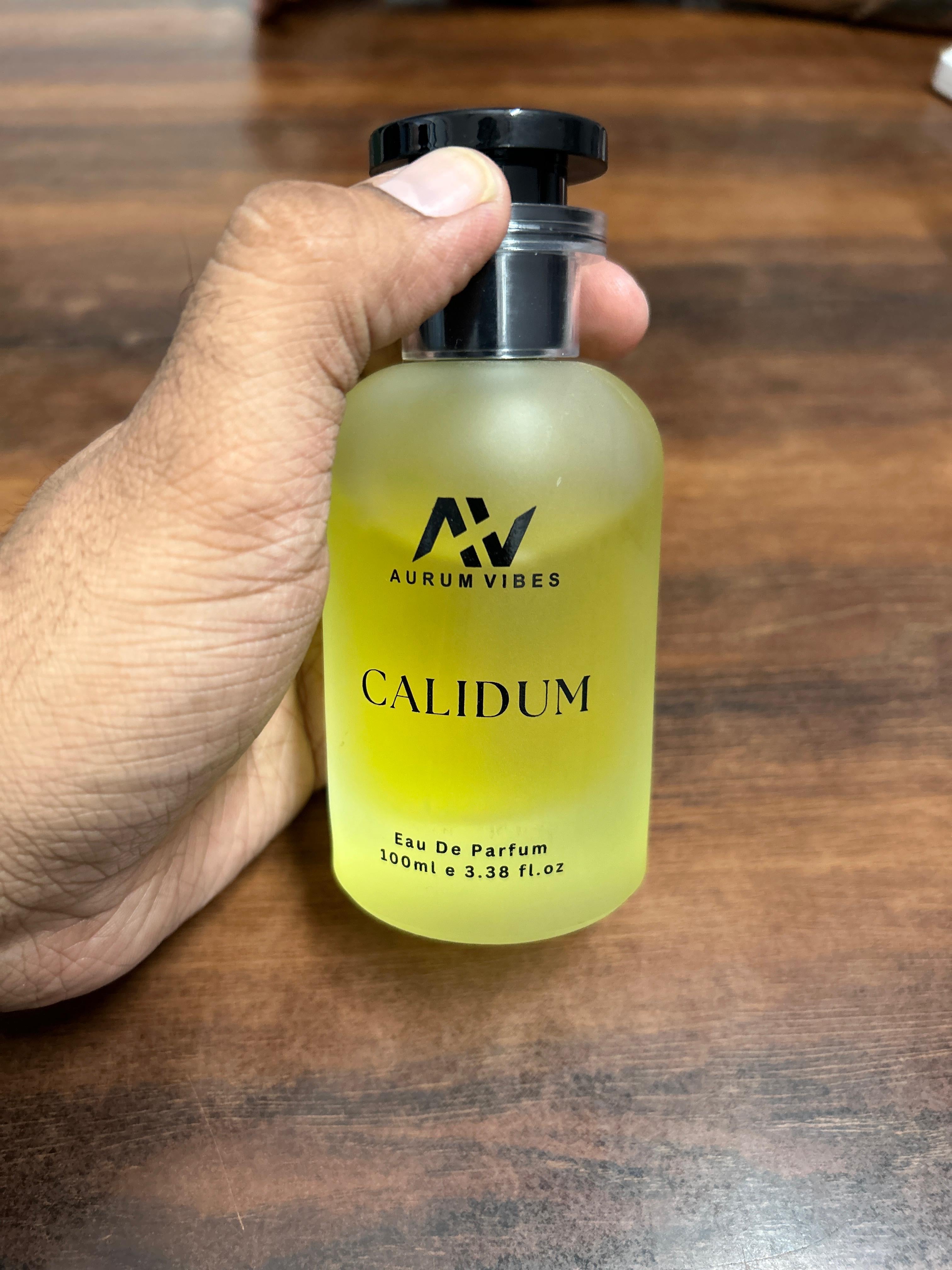 Calidum male perfume 100ml in a transparent bottle held by hand with a sleek design