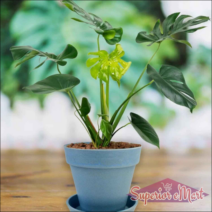 Garden Pot with Tray 1 Pc - Stylish Planter for Home and Garden