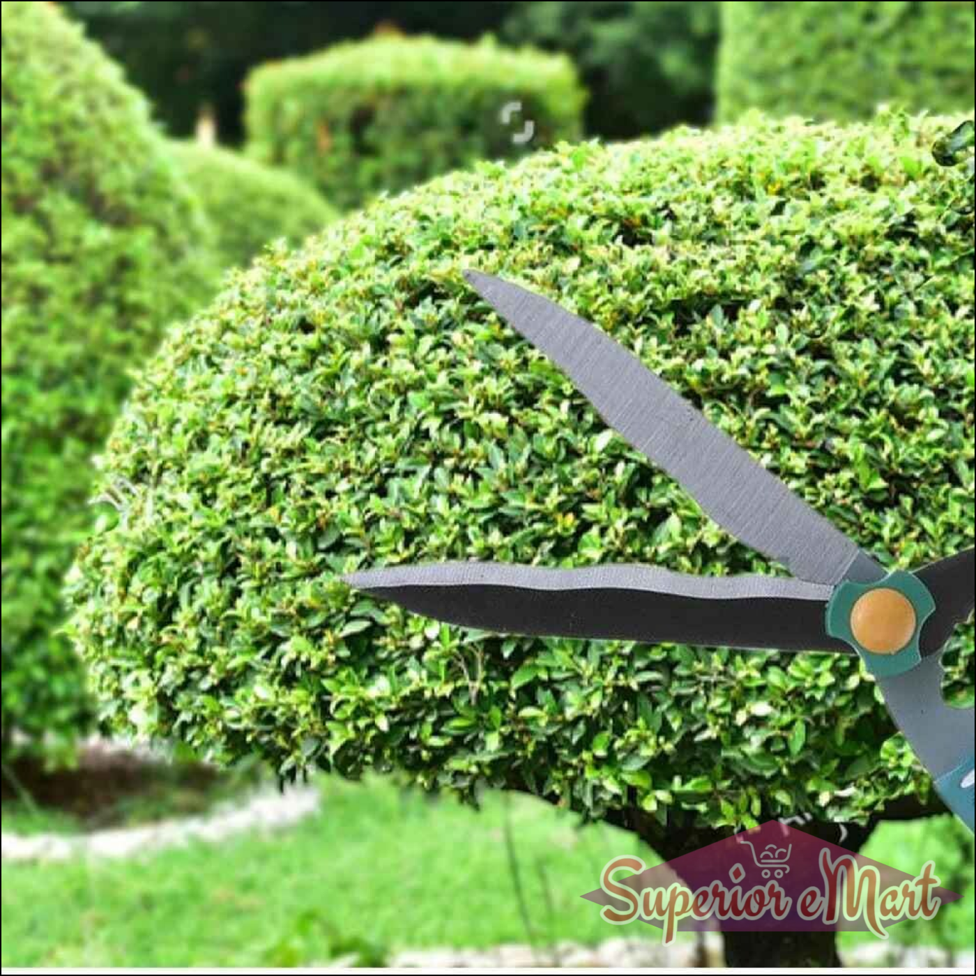 Garden Scissors for Trimming - Superior eMart