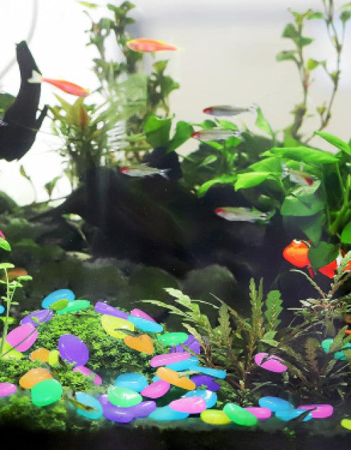Colorful glow in the dark garden pebbles scattered among aquatic plants in a vibrant fish tank