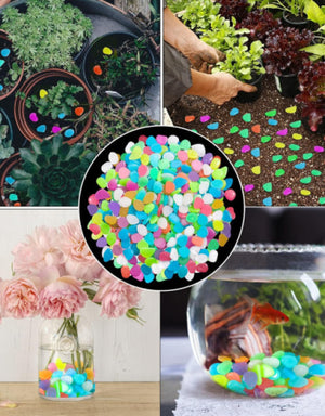 Glow in the dark garden pebbles by Superior eMart used to decorate plants, garden soil, flower vases, and fish bowls