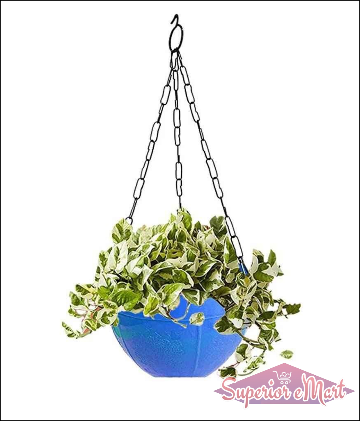 Hanging Flower Pot with Chain - Superior eMart