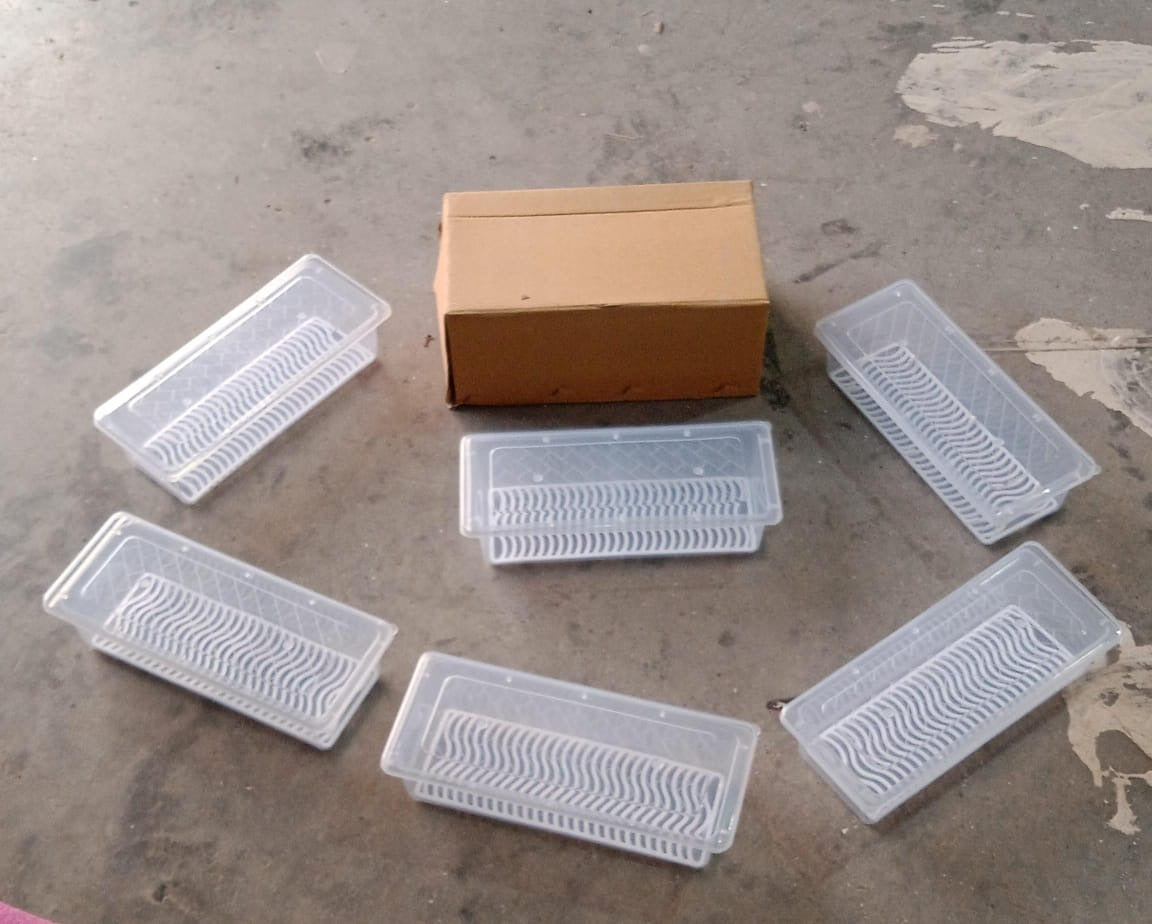 Vegetables | Fruits Freezer Storage Container ( 6pc 1500ml )