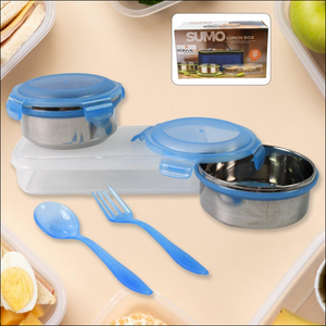Lunch Box, with Lunch Bag, Plastic Lunch Box & Plastic Spoon, Fork (2 Pc Set / With Lunch Box).