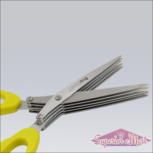 Multifunction Vegetable Stainless Steel Herbs Scissor With 5 Blades (1 Pc) - Superior eMart