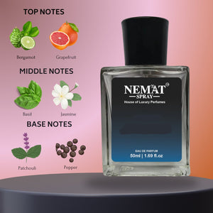 Akqua Diii - Luxury Inspired Perfume Nemat Spray bottle with bergamot grapefruit top notes basil jasmine patchouli pepper