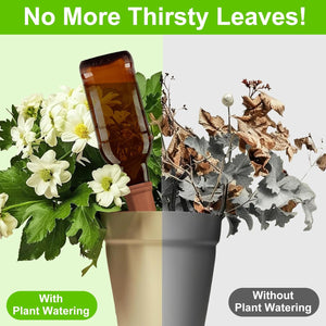 Self watering spikes for plants demonstrating effective hydration with blooming flowers and drooping foliage