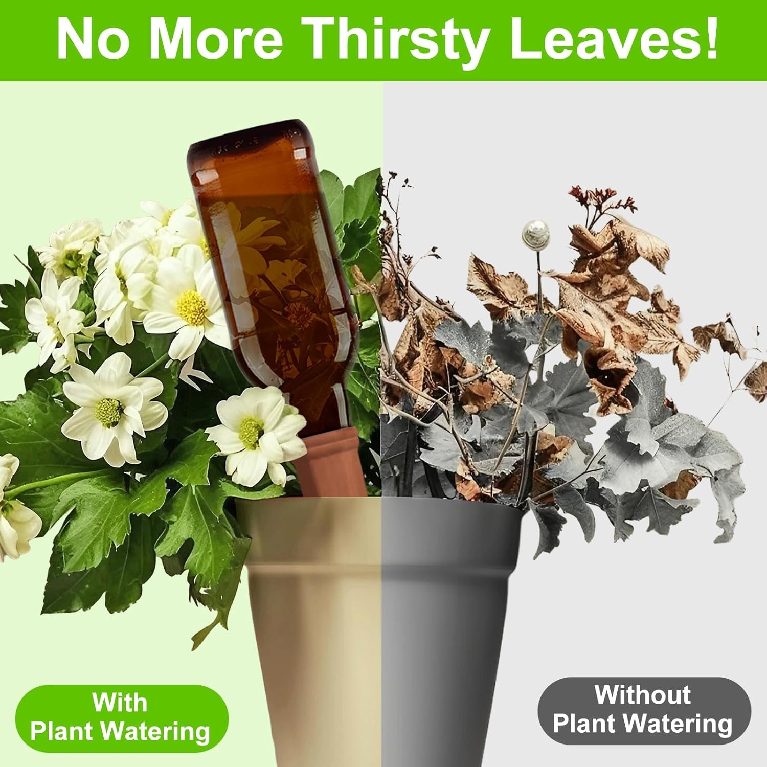 Self watering spikes for plants demonstrating effective hydration with blooming flowers and drooping foliage