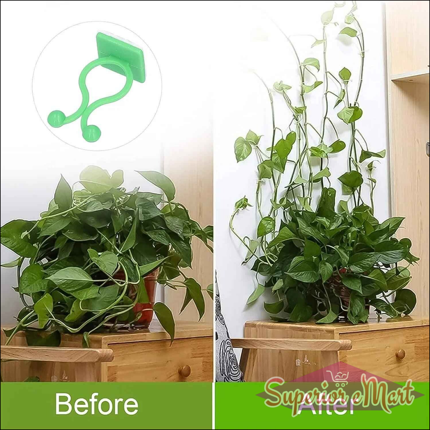 Plant Climbing Wall Clips - 100 Pcs Set