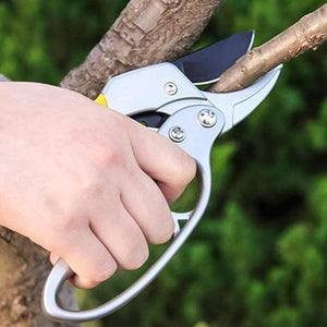 Hand using 200mm pruning shears to trim tree branches in the garden