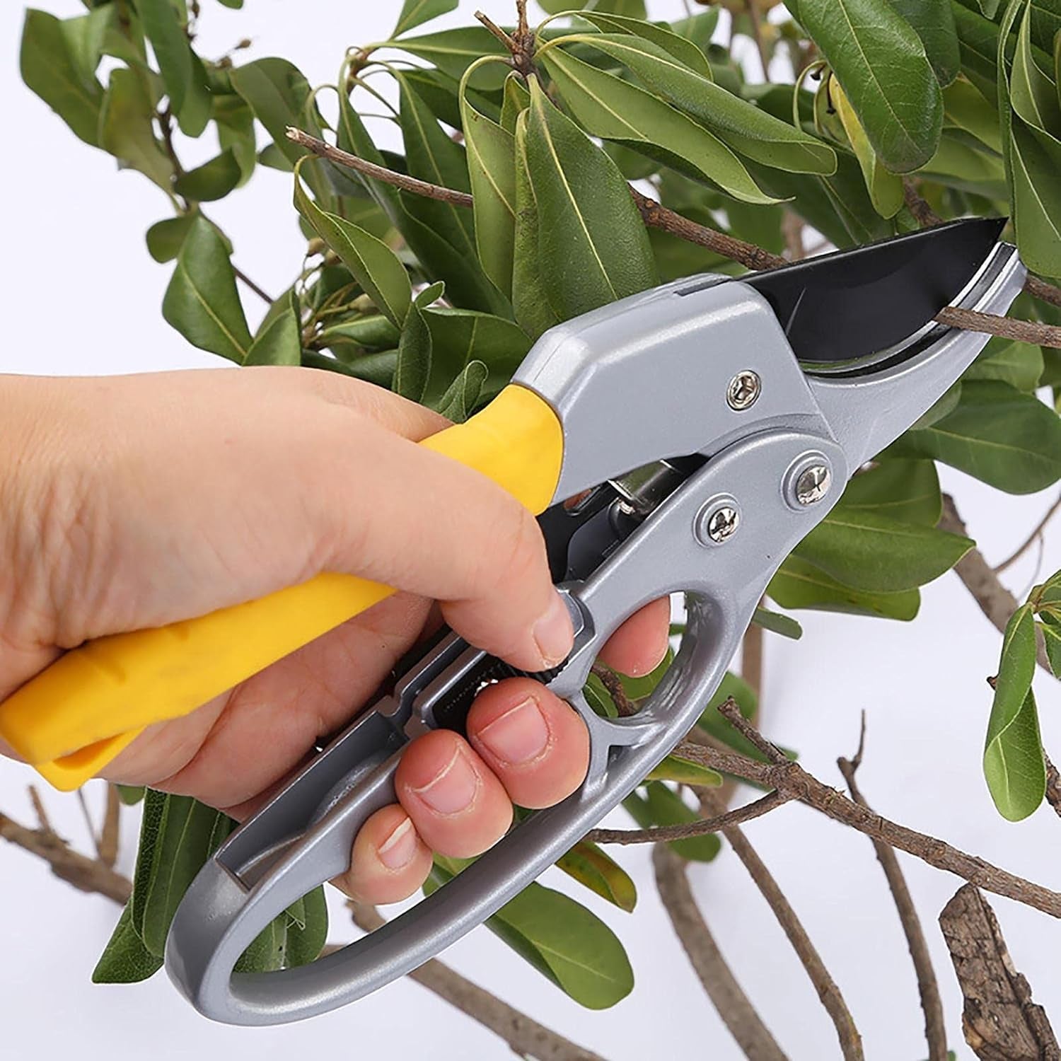 Durable 200mm pruning shears with ergonomic grip for precise garden trimming and plant maintenance