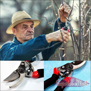Red Garden Shears 21cm for Pruning - Superior eMart