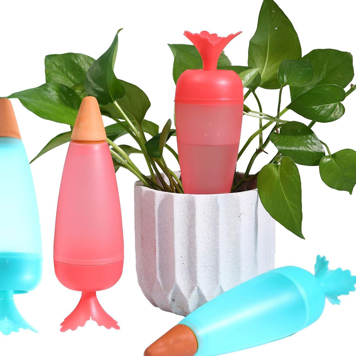 Colorful self watering plant spikes 1 Pc placed in a potted plant for efficient watering