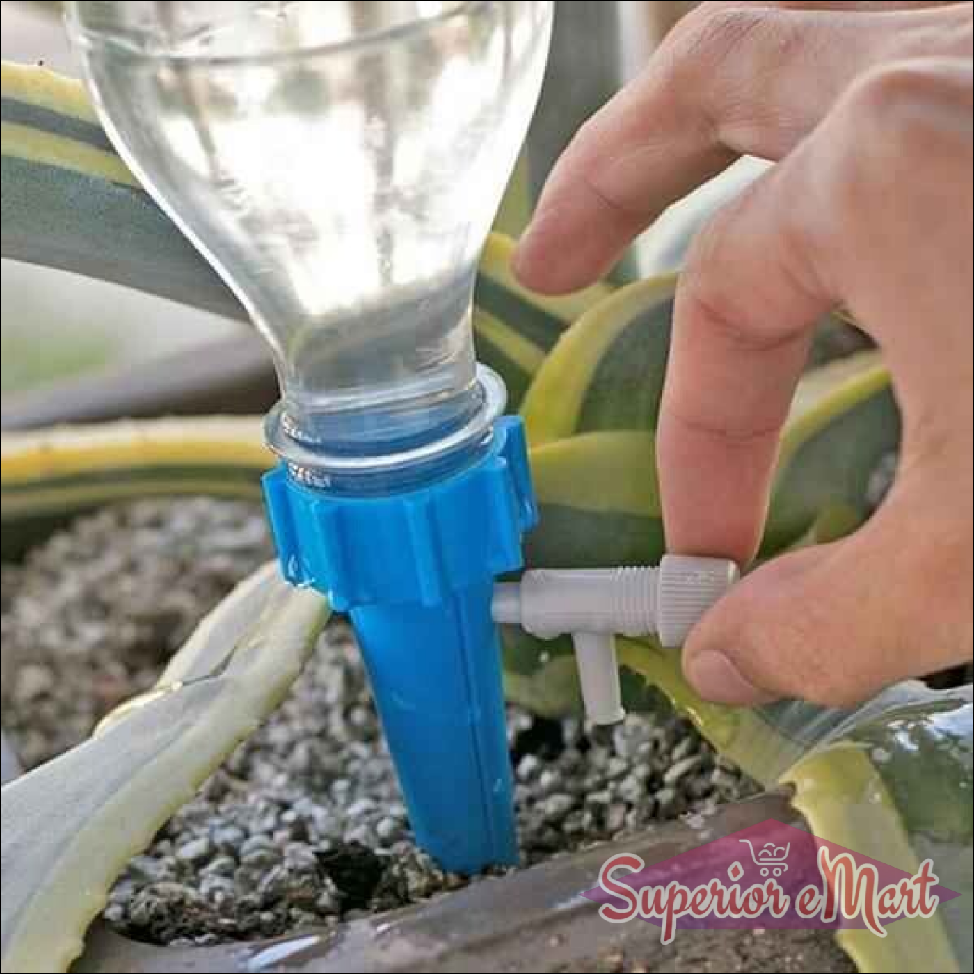 Self-Watering Spikes for Plants - Superior eMart