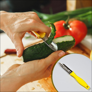 Stainless Steel Classic Peeler - Superior eMart