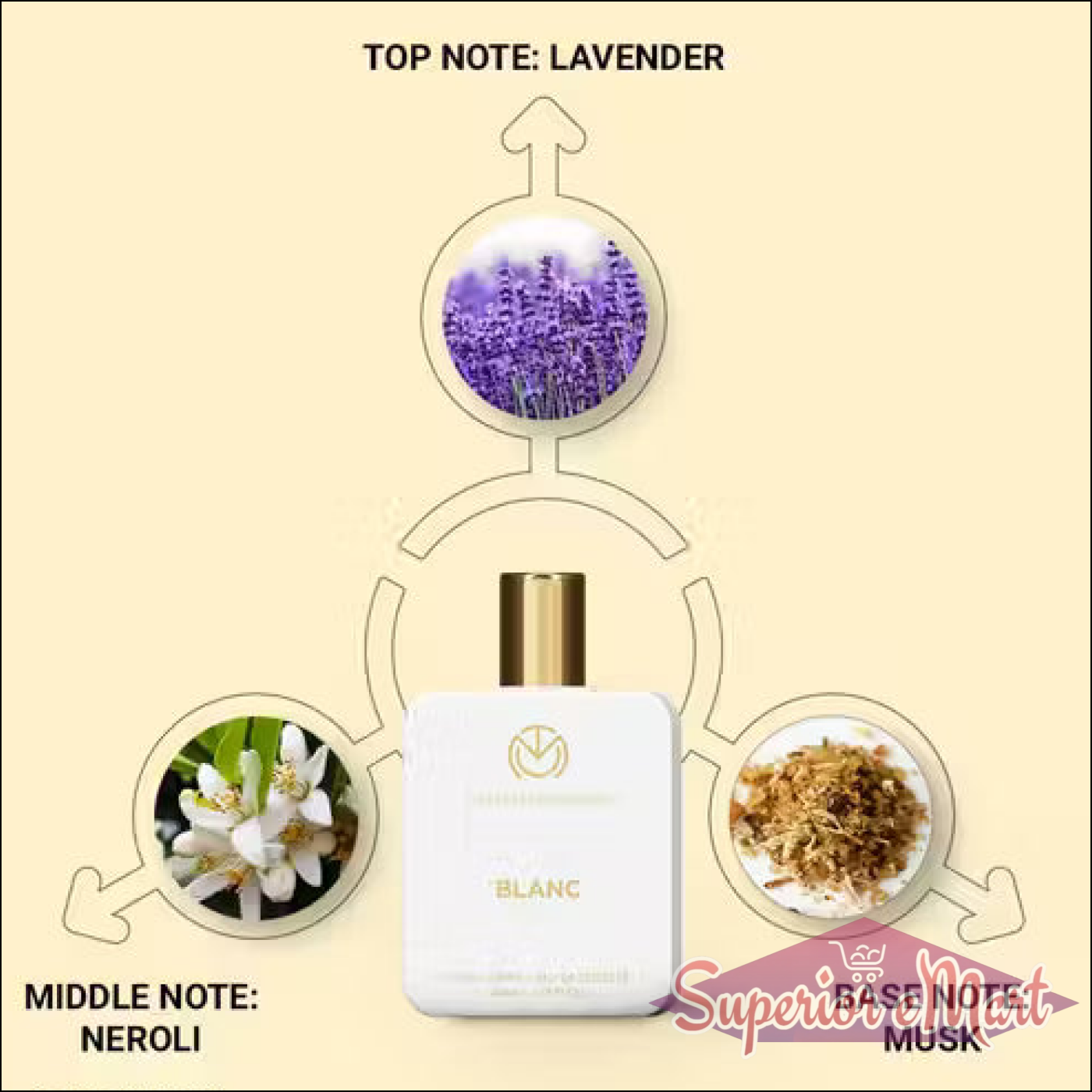 Blanc perfume notes infographic: Top Lavender, Middle Neroli, Base Musk. White bottle with gold cap.