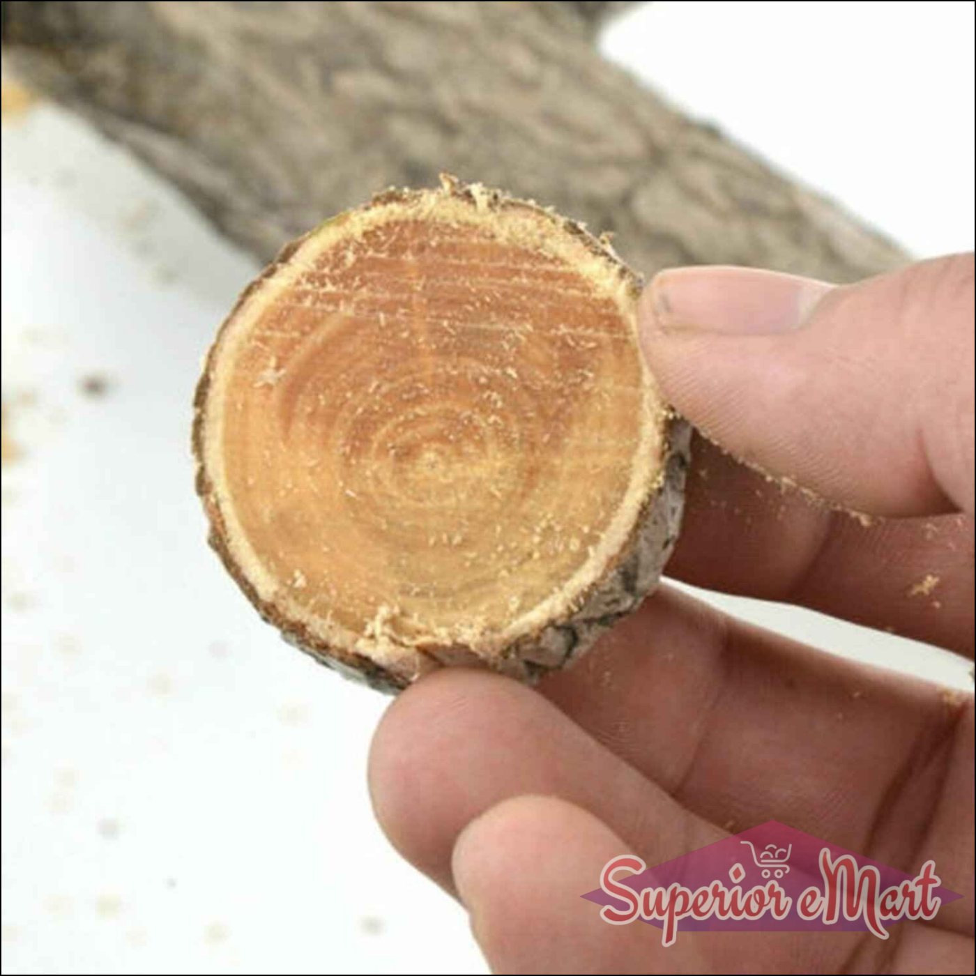 Tree Cutter Saw 270mm for Pruning - Superior eMart