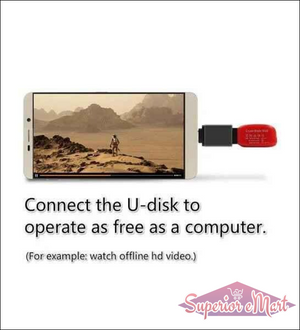 USB-C OTG Adapter - Superior eMart