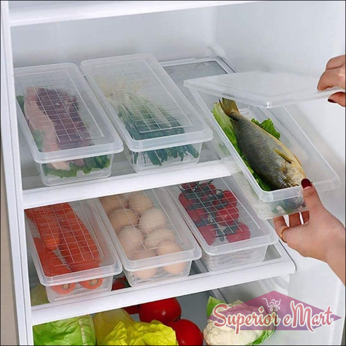 Vegetables | Fruits Freezer Storage Container ( 6pc 1500ml ) - Superior eMart
