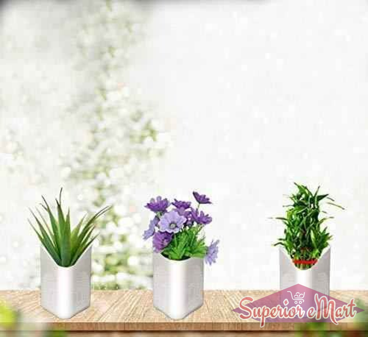 Vertical Wall Hanging Planters - Multicolor - Superior eMart