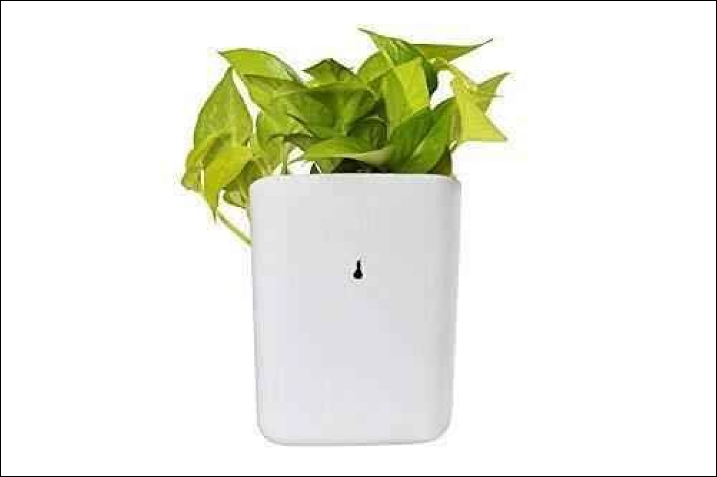Vertical Wall Hanging Planters - Multicolor - Superior eMart