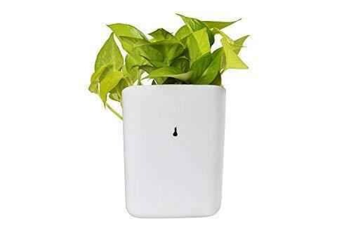 Vertical Wall Hanging Planters - Multicolor - Superior eMart