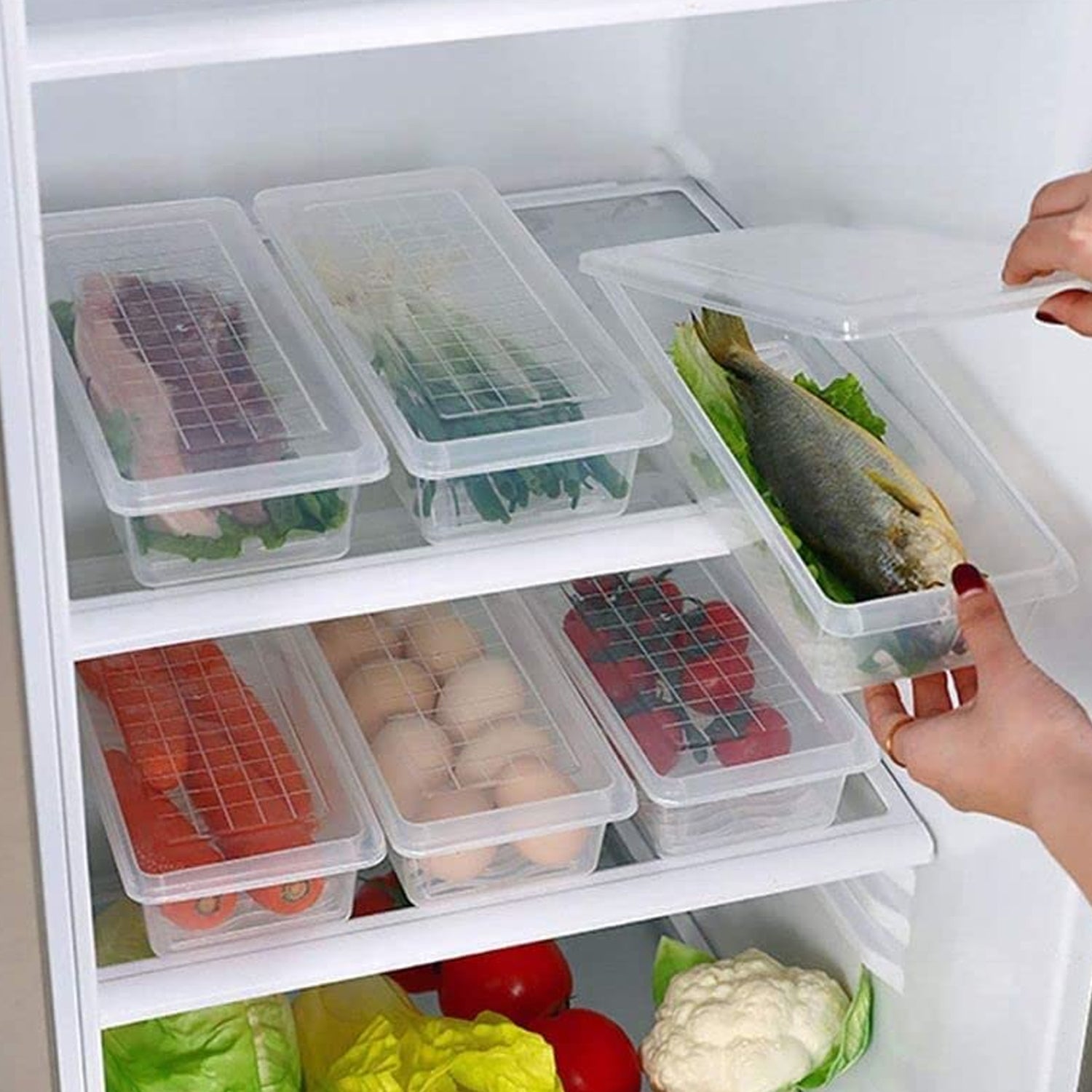 Vegetables | Fruits Freezer Storage Container ( 6pc 1500ml )