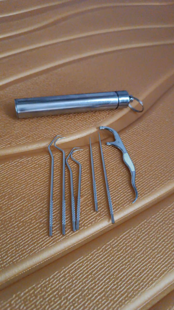 7 In 1 Stainless Steel Toothpick Flossier Set (1 Set  With Case) - Superior eMart